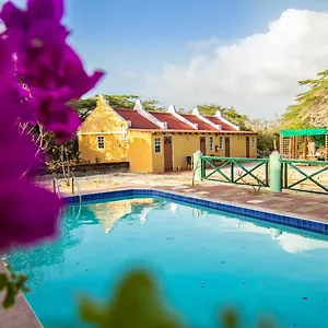 Daniel - Plantation House Tera Kora